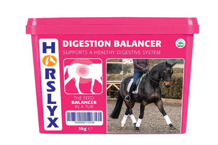 HORSLYX Digestion